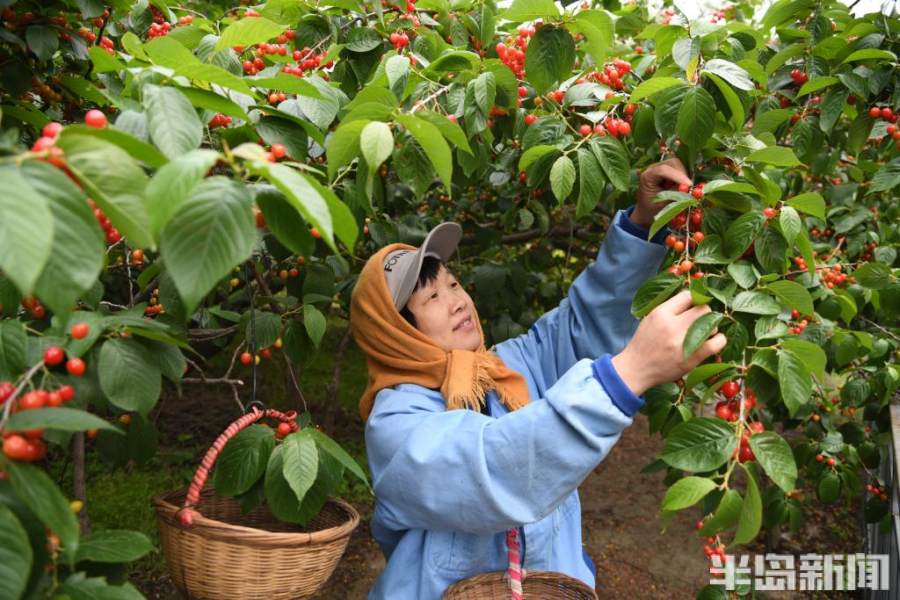 石家槽村民委员会最新动态报道