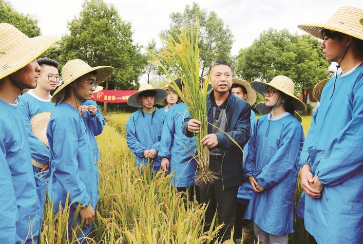 如皋市农科所最新招聘启事及职位概览