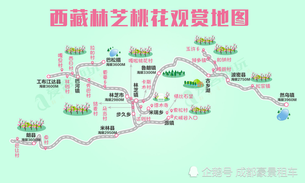 林芝地区迈向生态繁荣新时代的最新发展规划