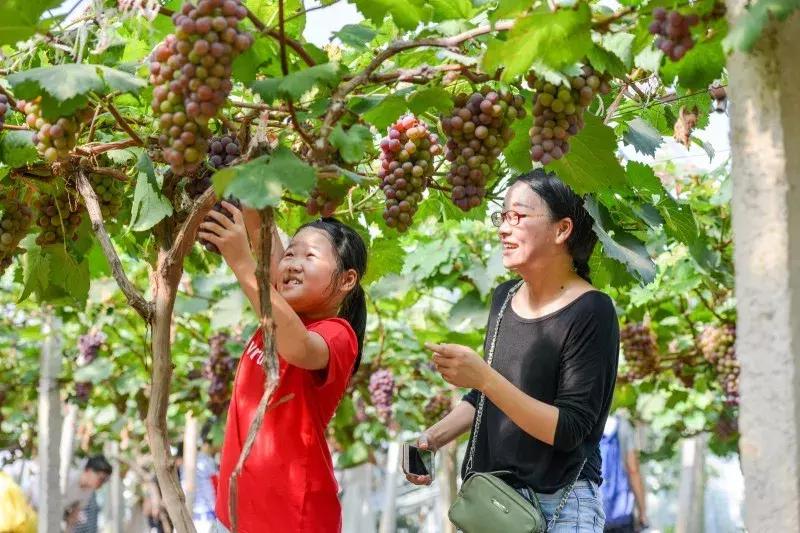 长兴县市场监管局最新发展规划概览