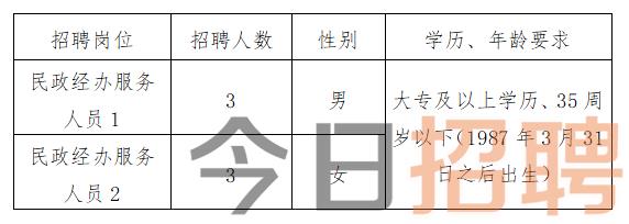 献县统计局最新招聘启事概览