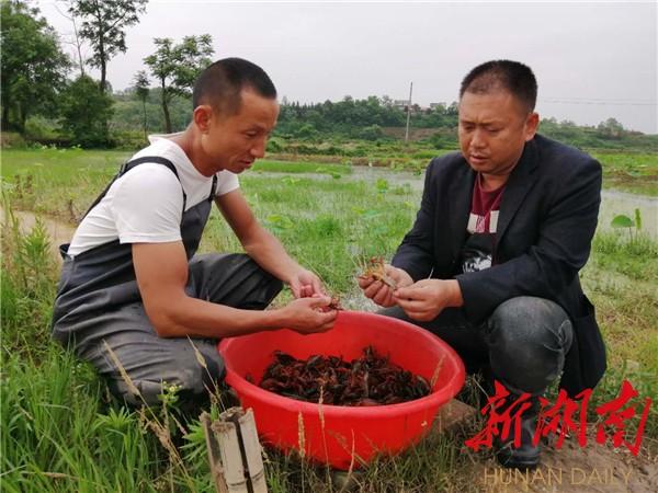 辰溪县级公路维护监理事业单位领导最新概览