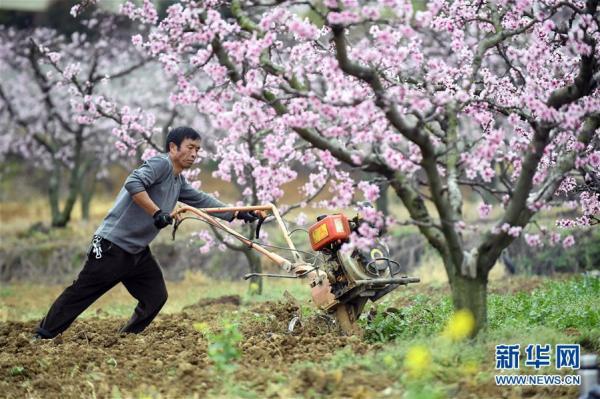 南明区农业农村局最新动态报道