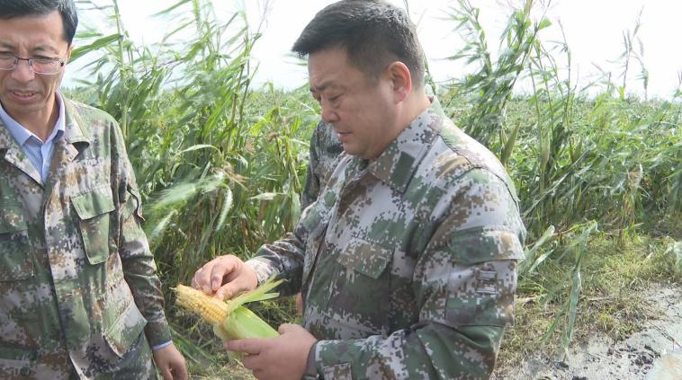 惠七满族镇最新招聘信息汇总