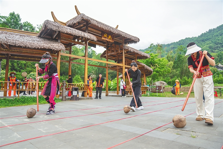 纳强村新项目，乡村发展典范引领之路