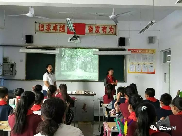 大宁县小学引领教育革新，塑造未来之光新项目的探索与实践