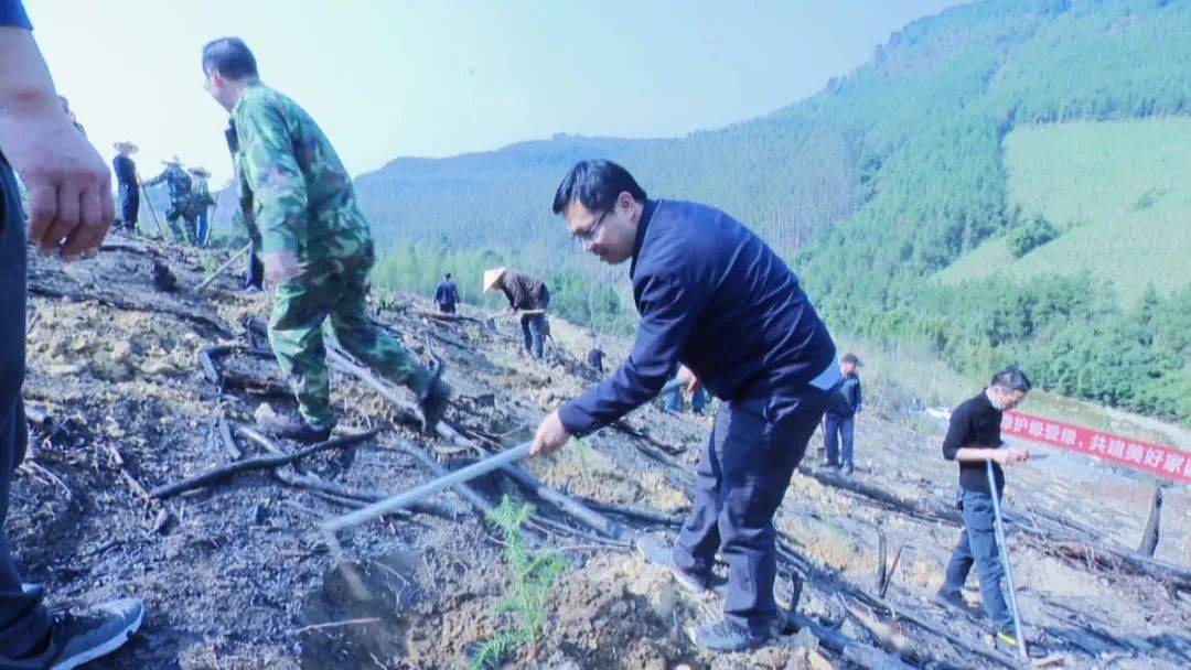 移山林场绿色发展先锋，最新新闻聚焦生态文明建设成就