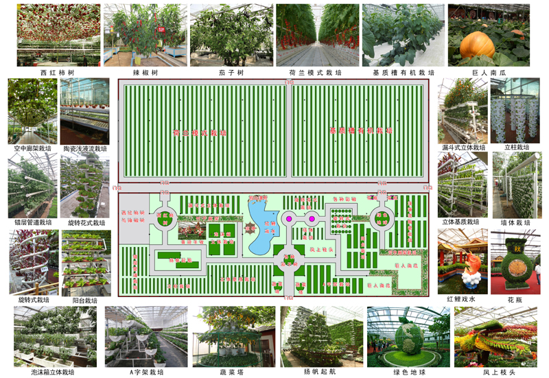 园艺试验场发展规划，绿色创新高地建设启动