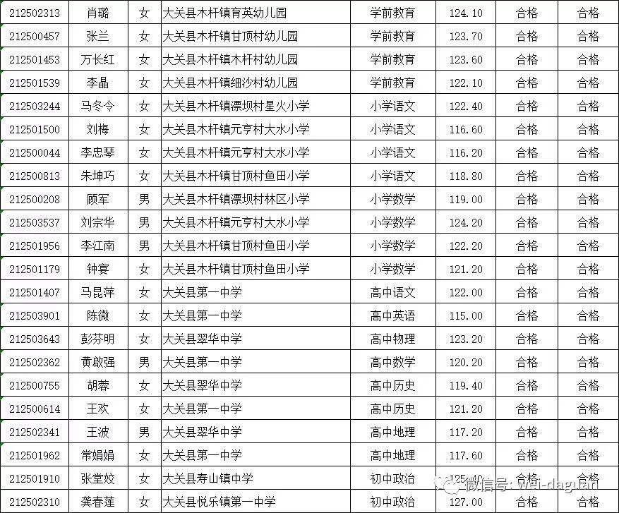 大关县小学最新招聘信息详解