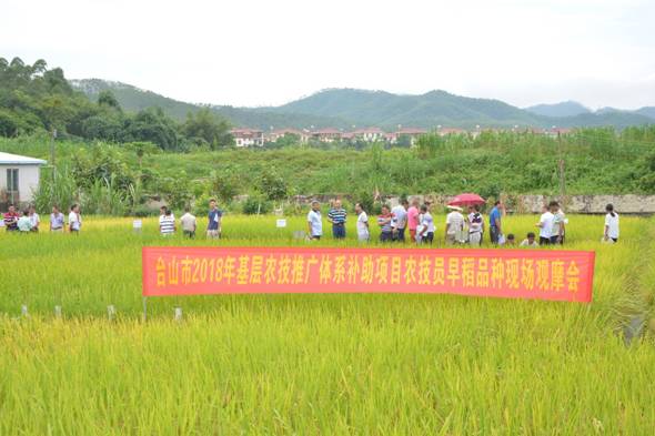 大埔县农业农村局新项目推动农业现代化助力乡村振兴