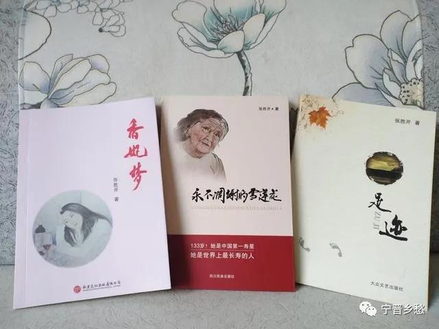 宁晋县文化广电体育旅游局新项目，推动文化繁荣与体育旅游融合发展探索