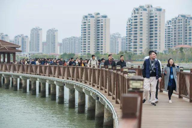 汕尾市建设局最新动态报道