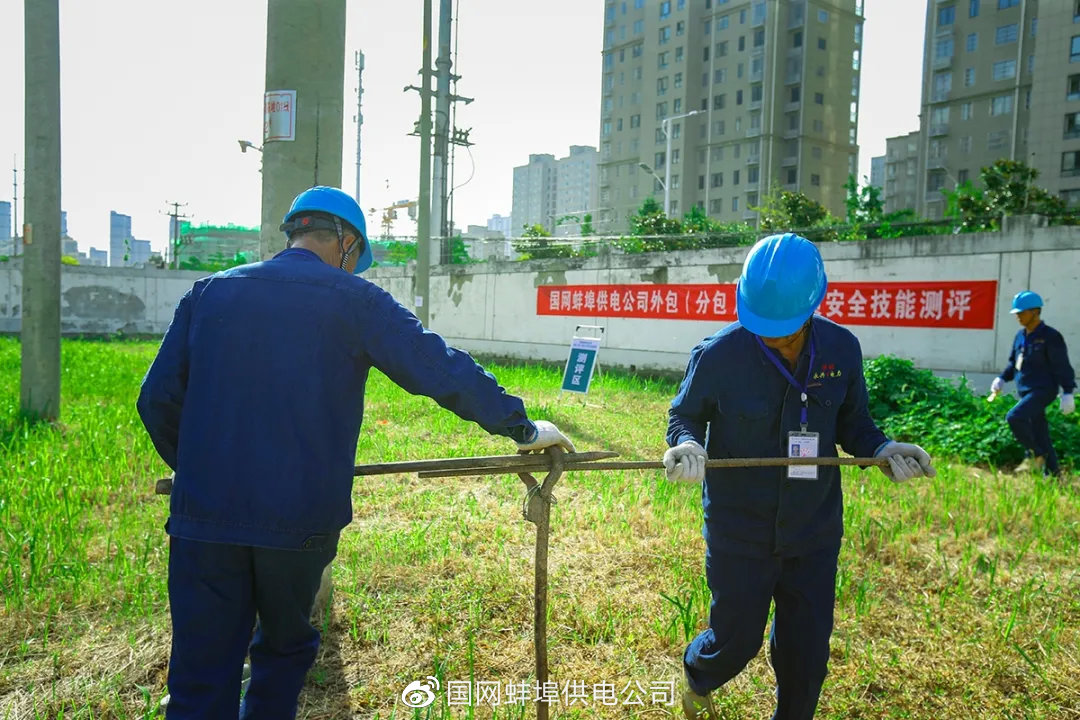 蚌埠市供电局最新项目概览与动态分析