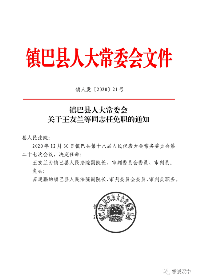 绿园区公路运输管理事业单位人事任命公告发布