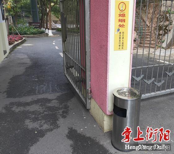 衡阳市园林管理局加速城市绿化升级与生态建设步伐的最新新闻