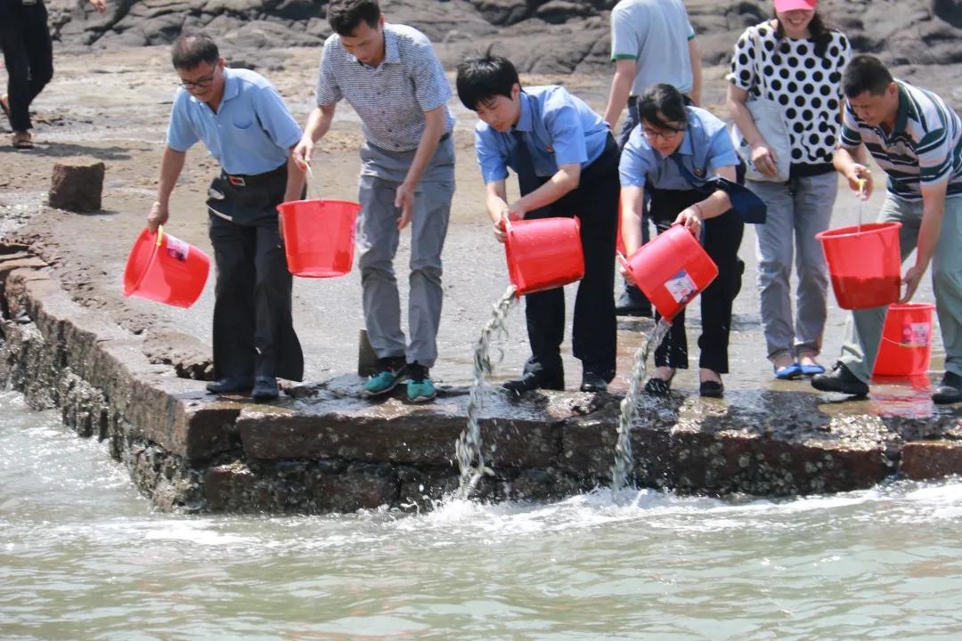 龙海市康复事业单位最新项目助力康复事业迈上新台阶