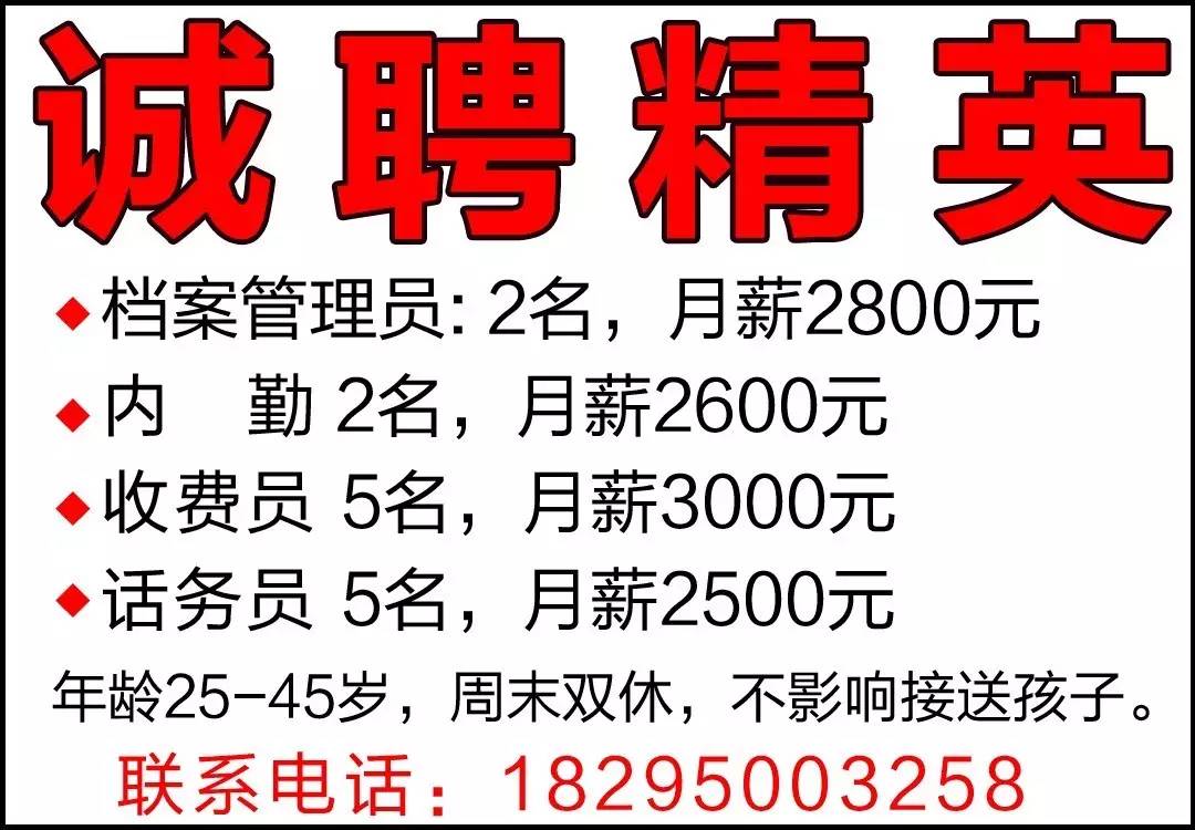 回民区科技局及关联企业招聘资讯详解