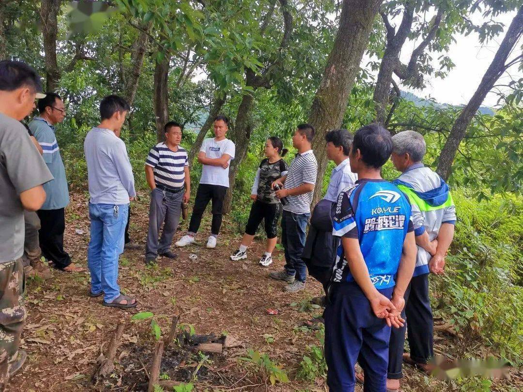 垤玛乡最新新闻动态报道