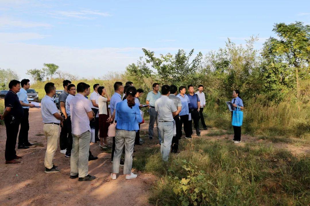 七十铺村民委员会交通新闻更新，迈向现代化交通的步伐