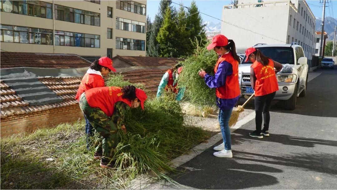 红湾寺镇交通升级助力地方繁荣发展新动态